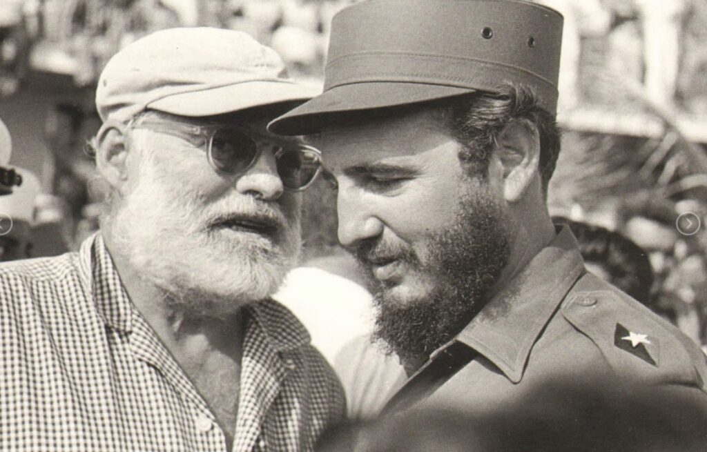 3C2F84E6 79D4 446A 9BF0 E1E41D2F6DAE