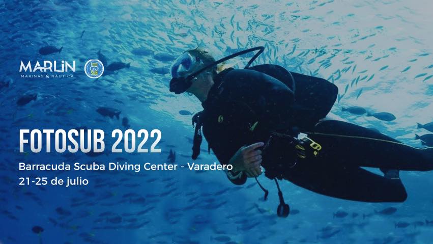 287229418 1893389200854840 3119970881366267874 n